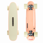 PennyBoard BRISK Skatebolt