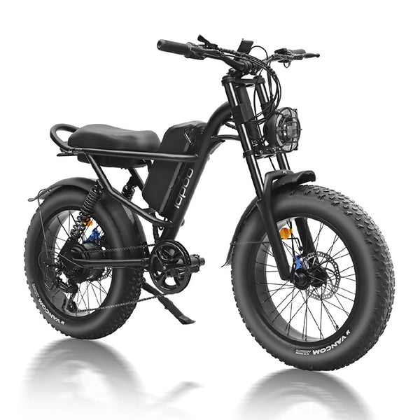 Electric Bicycle Cross-country IDPOO